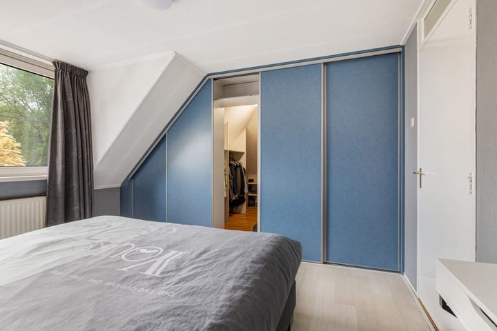 Foto 25 van Beukvaren 3