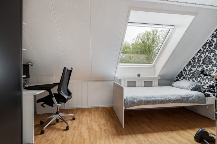 Foto 29 van Beukvaren 3