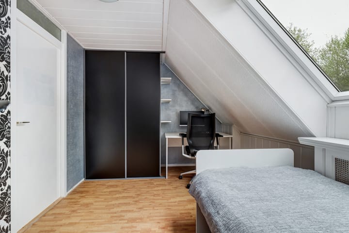 Foto 31 van Beukvaren 3