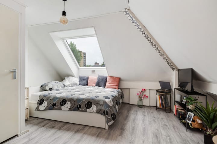 Foto 34 van Beukvaren 3