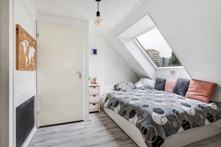 Foto 35 van Beukvaren 3