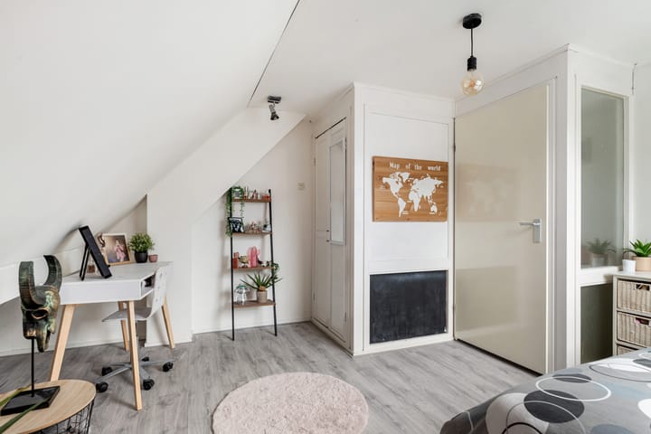 Foto 36 van Beukvaren 3