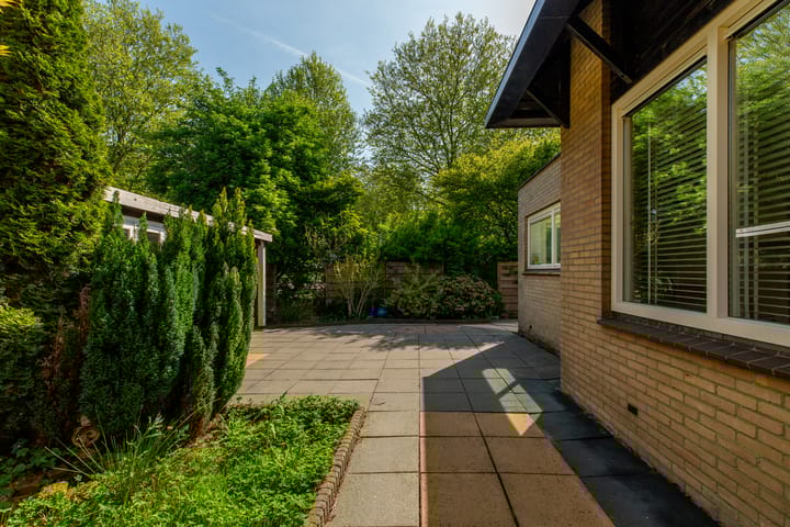 Foto 37 van Beukvaren 3