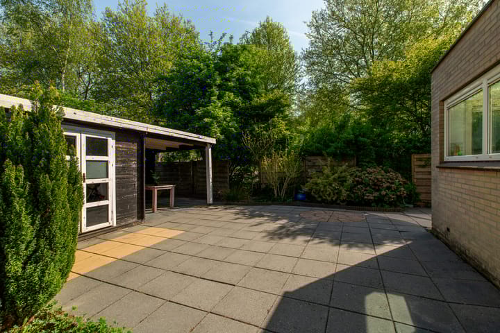 Foto 38 van Beukvaren 3