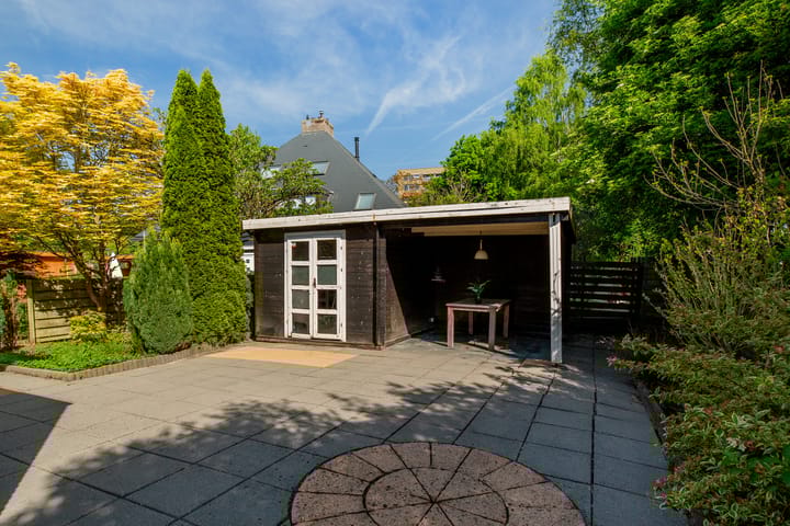 Foto 39 van Beukvaren 3