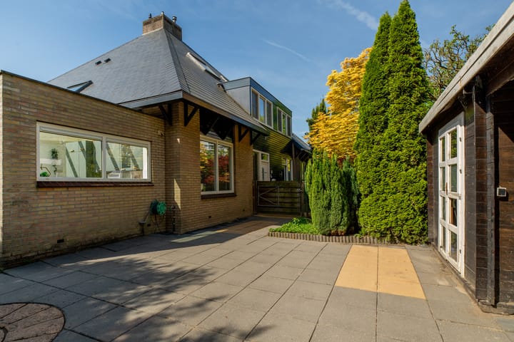 Foto 41 van Beukvaren 3