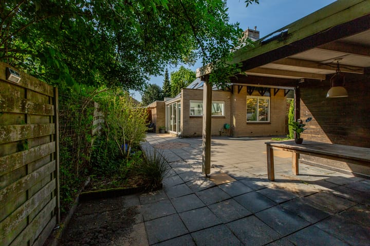 Foto 42 van Beukvaren 3