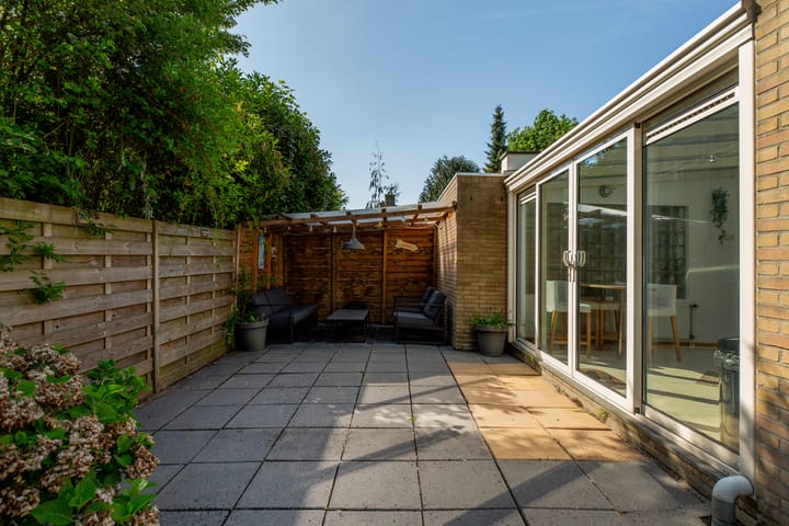 Foto 43 van Beukvaren 3