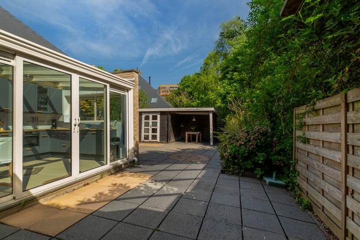 Foto 46 van Beukvaren 3