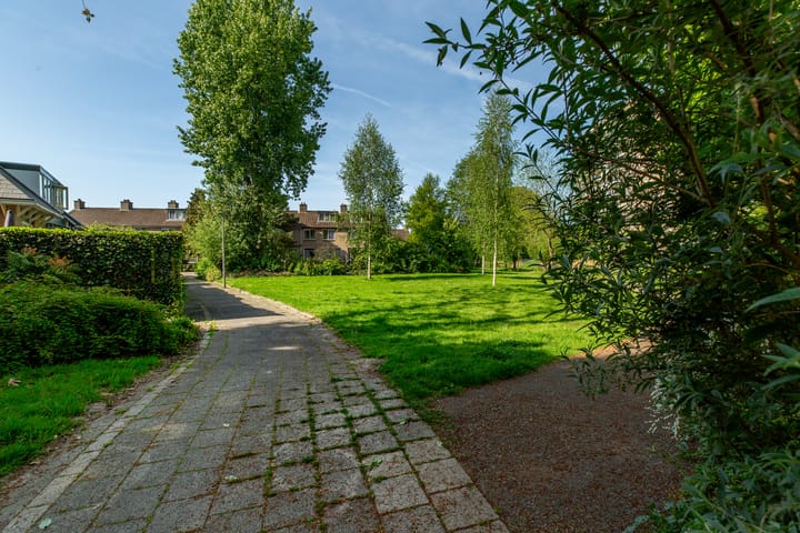 Foto 47 van Beukvaren 3