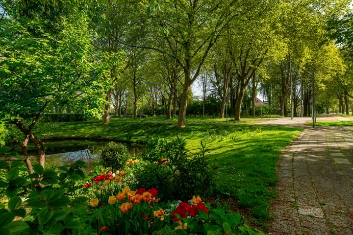 Foto 48 van Beukvaren 3