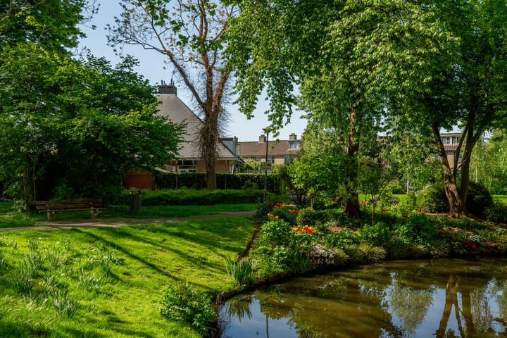 Foto 50 van Beukvaren 3