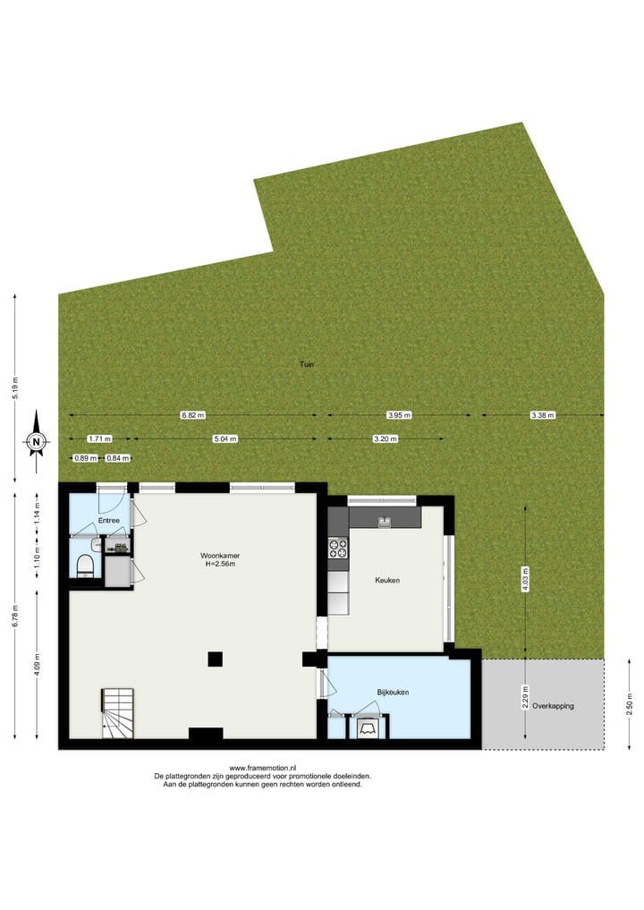 Foto 51 van Beukvaren 3