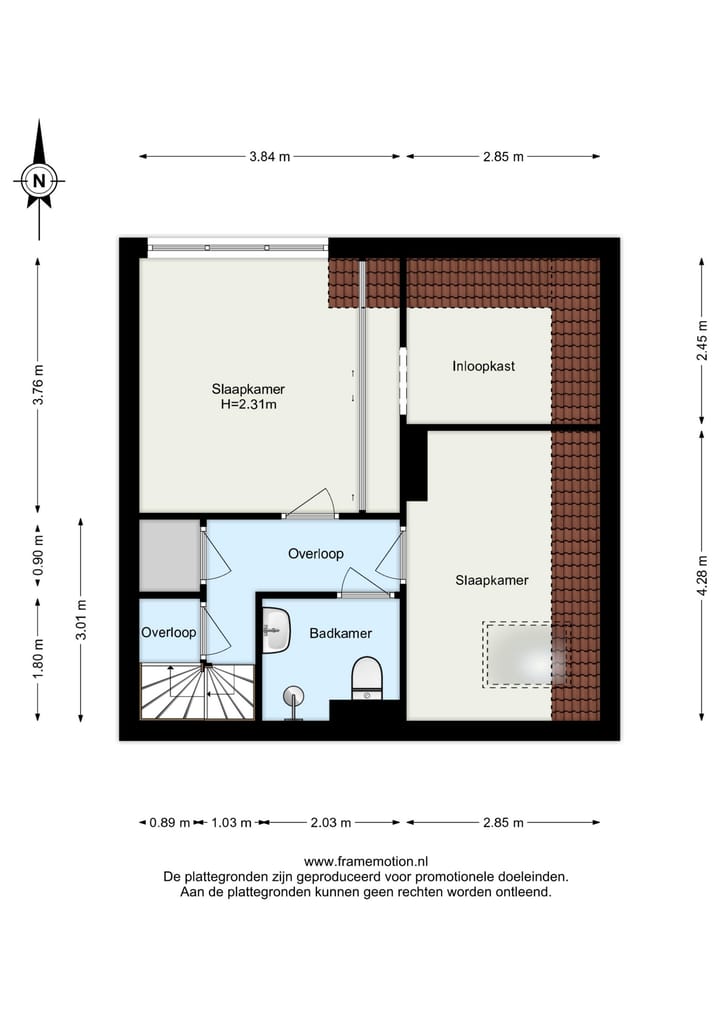 Foto 53 van Beukvaren 3