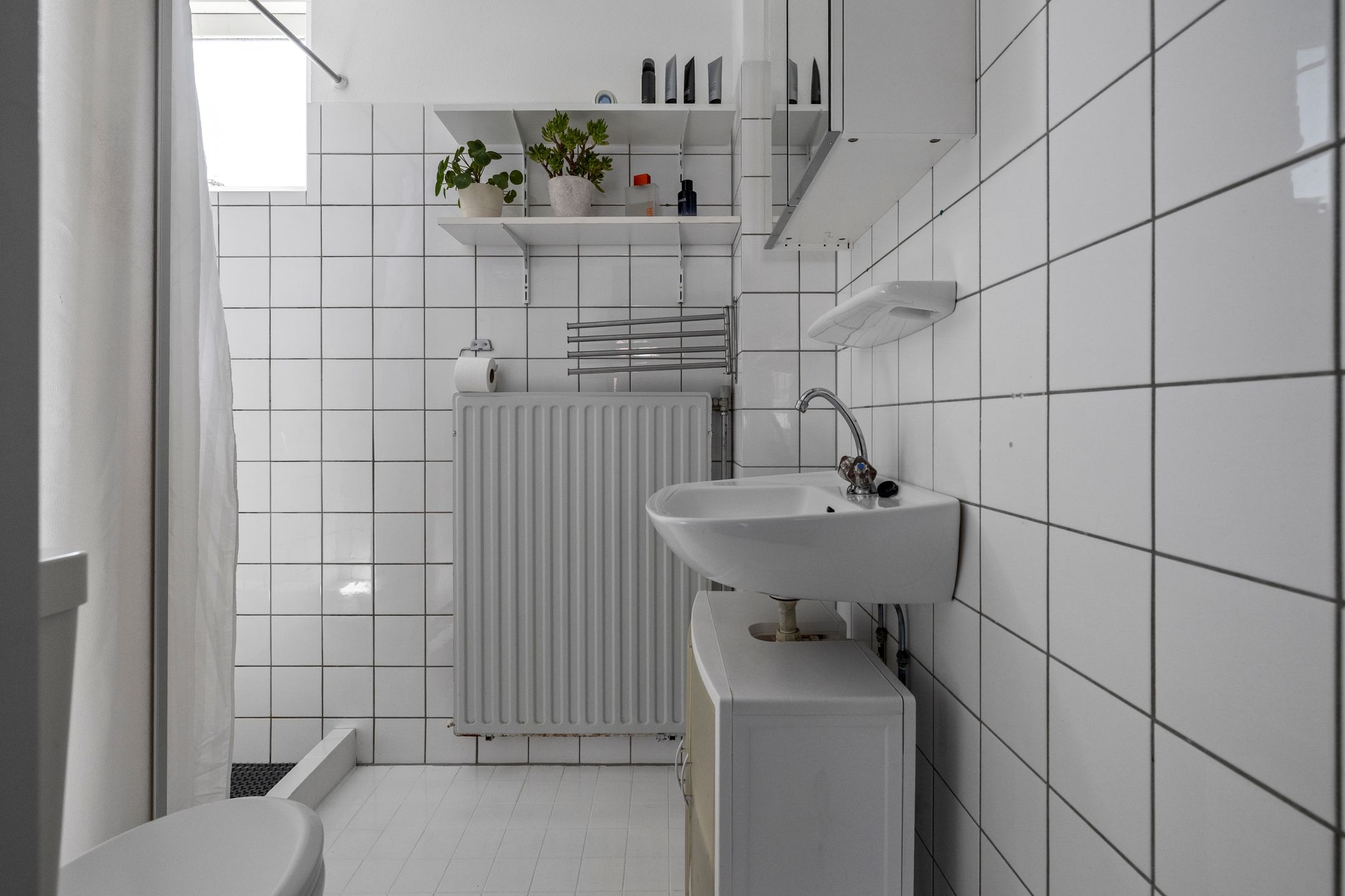 Foto 12 van Wierbalg 1988