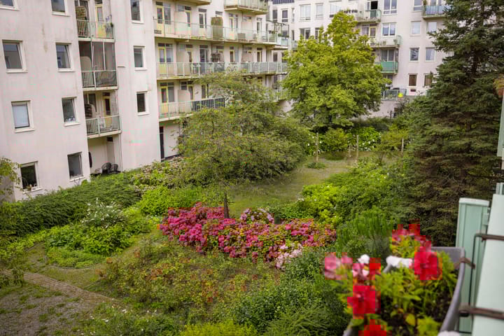 Foto 11 van Borgerstraat 137-C