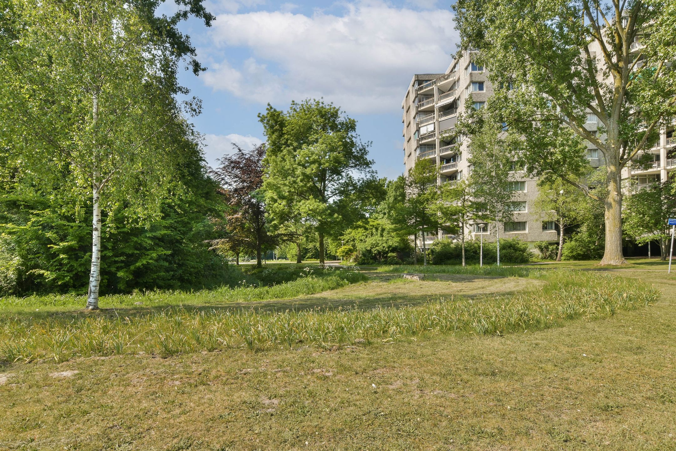 Photo 21 of Gouden Leeuw 112