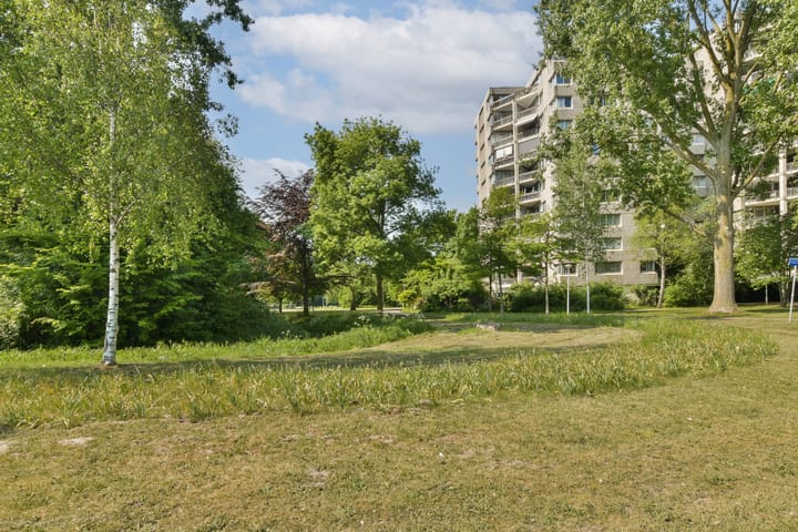 Foto 21 van Gouden Leeuw 112