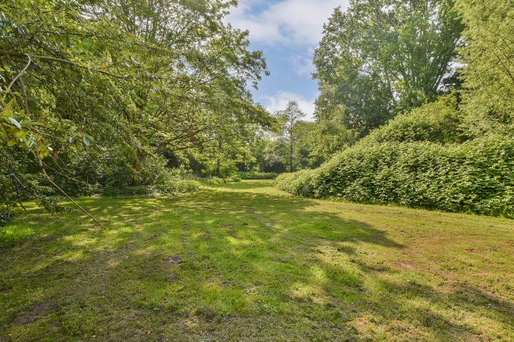 Foto 20 van Gouden Leeuw 112