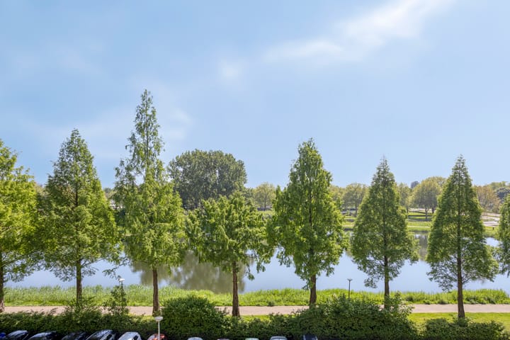 Foto 22 van Vrijheer van Eslaan 197