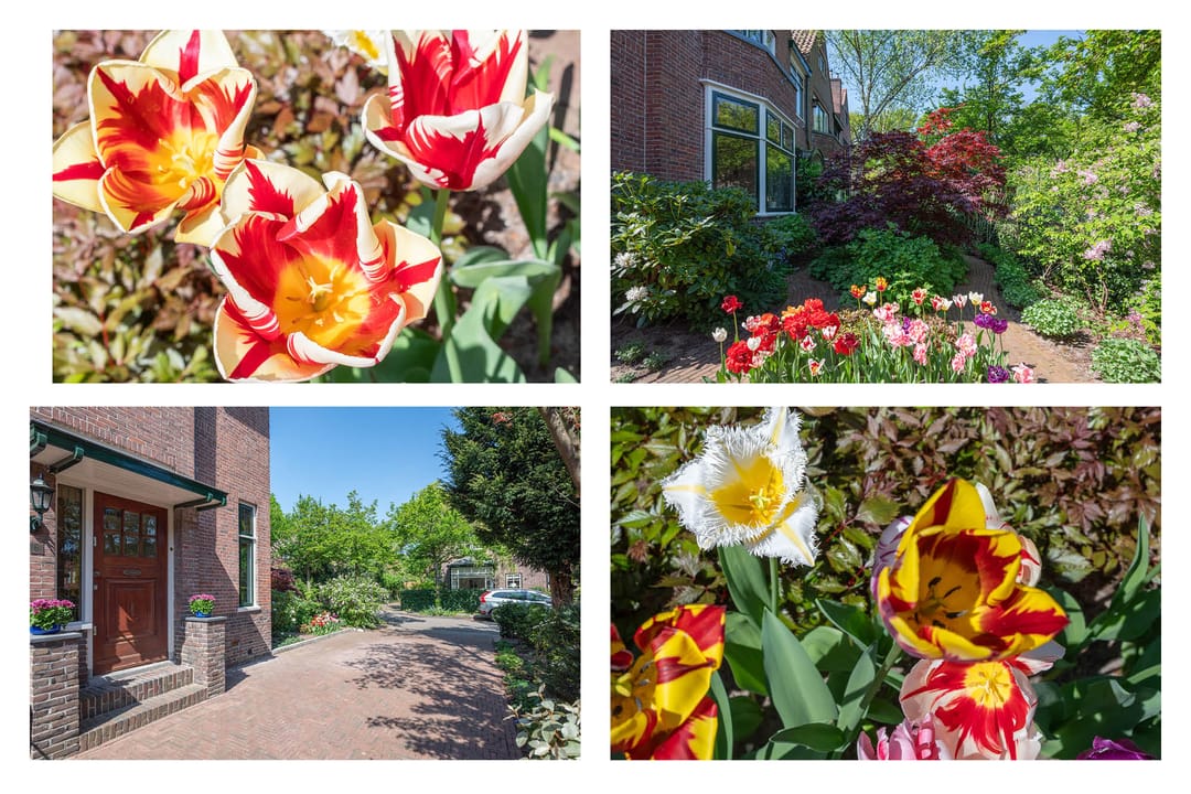 Foto 7 van Distellaan 6