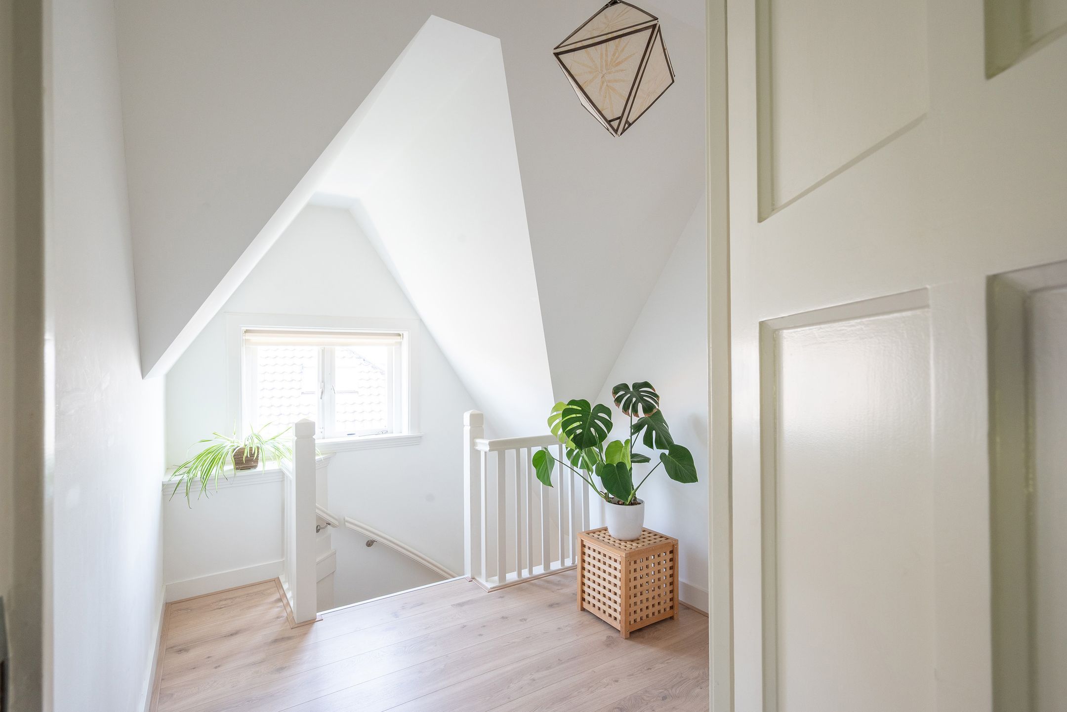 Foto 48 van Distellaan 6