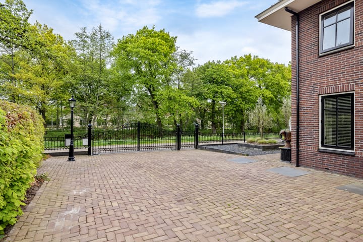 Foto 8 van Carneool 31