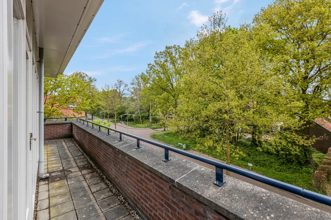 Foto 31 van Ambtsbos 1