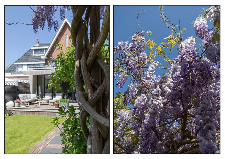 Foto 31 van C.J.van Houtenlaan 3