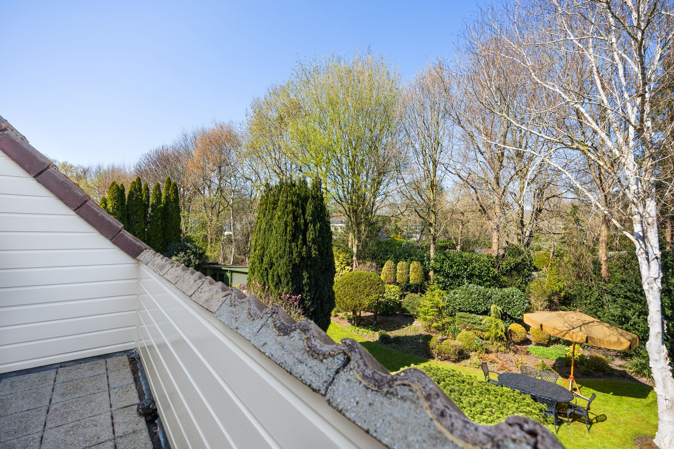 Photo 33 of Fazantlaan 6