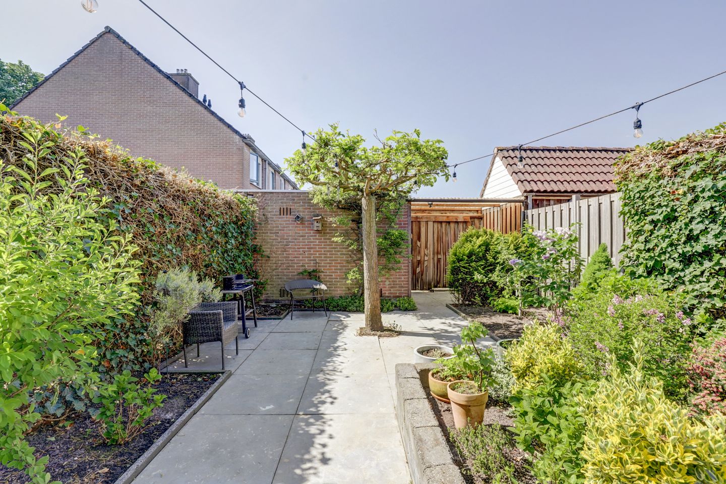 Foto 29 van Gerstveld 3