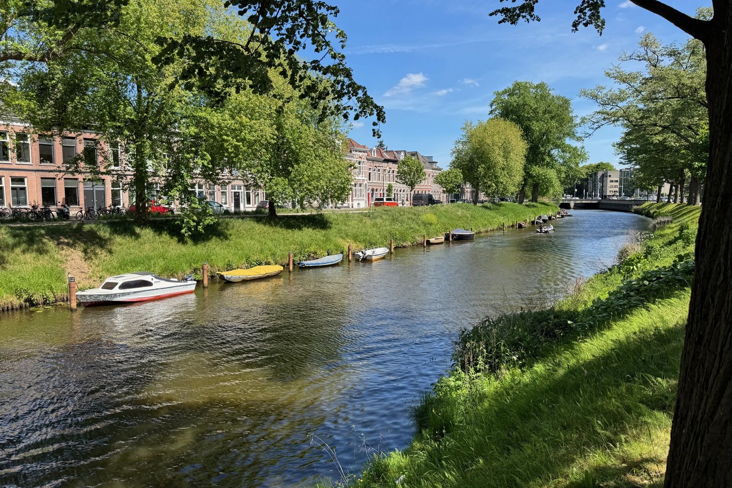 Bekijk foto 2 van Wilhelminasingel 1-C
