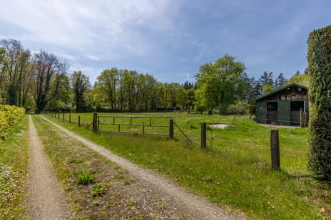 Wieselseweg 29 secondary image