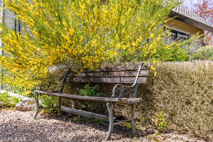 Foto 4 van Wieselseweg 29