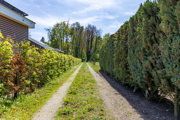 Foto 15 van Wieselseweg 29