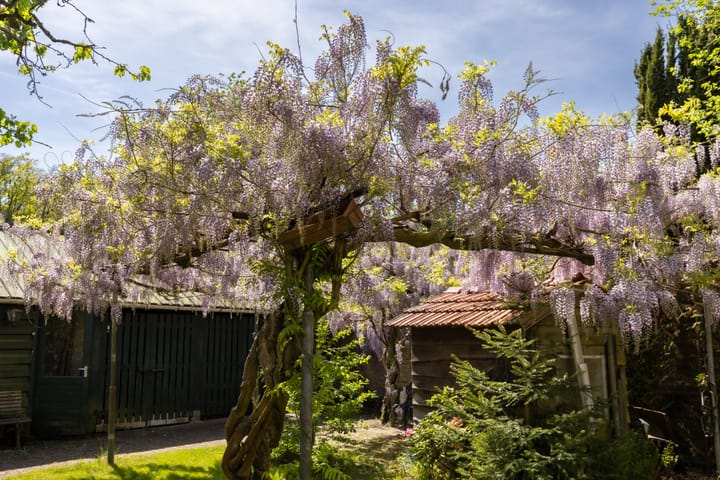 Foto 18 van Wieselseweg 29