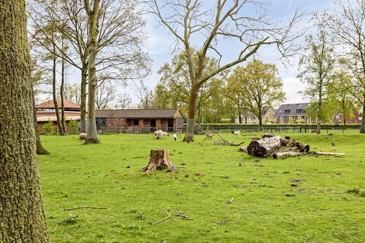 Foto 41 van Silenestraat 2