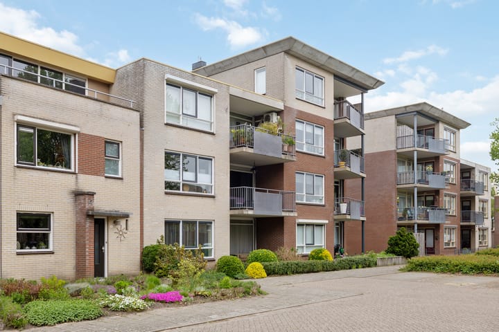 Foto 2 van Velduil 11