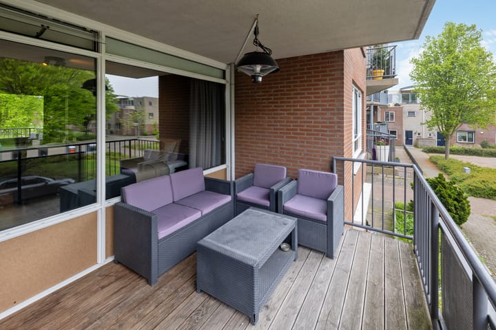 Photo 11 of Velduil 11