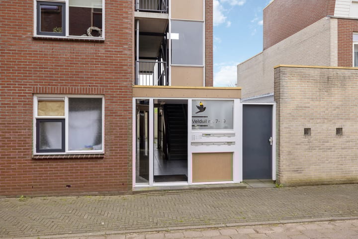 Photo 27 of Velduil 11