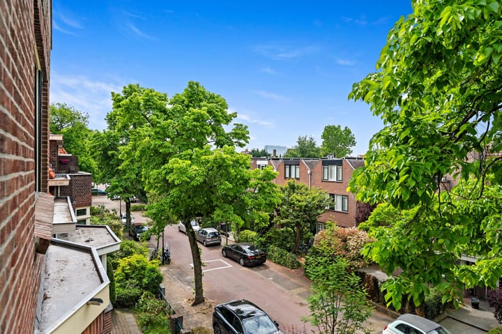 Foto 49 van Mauritslaan 19