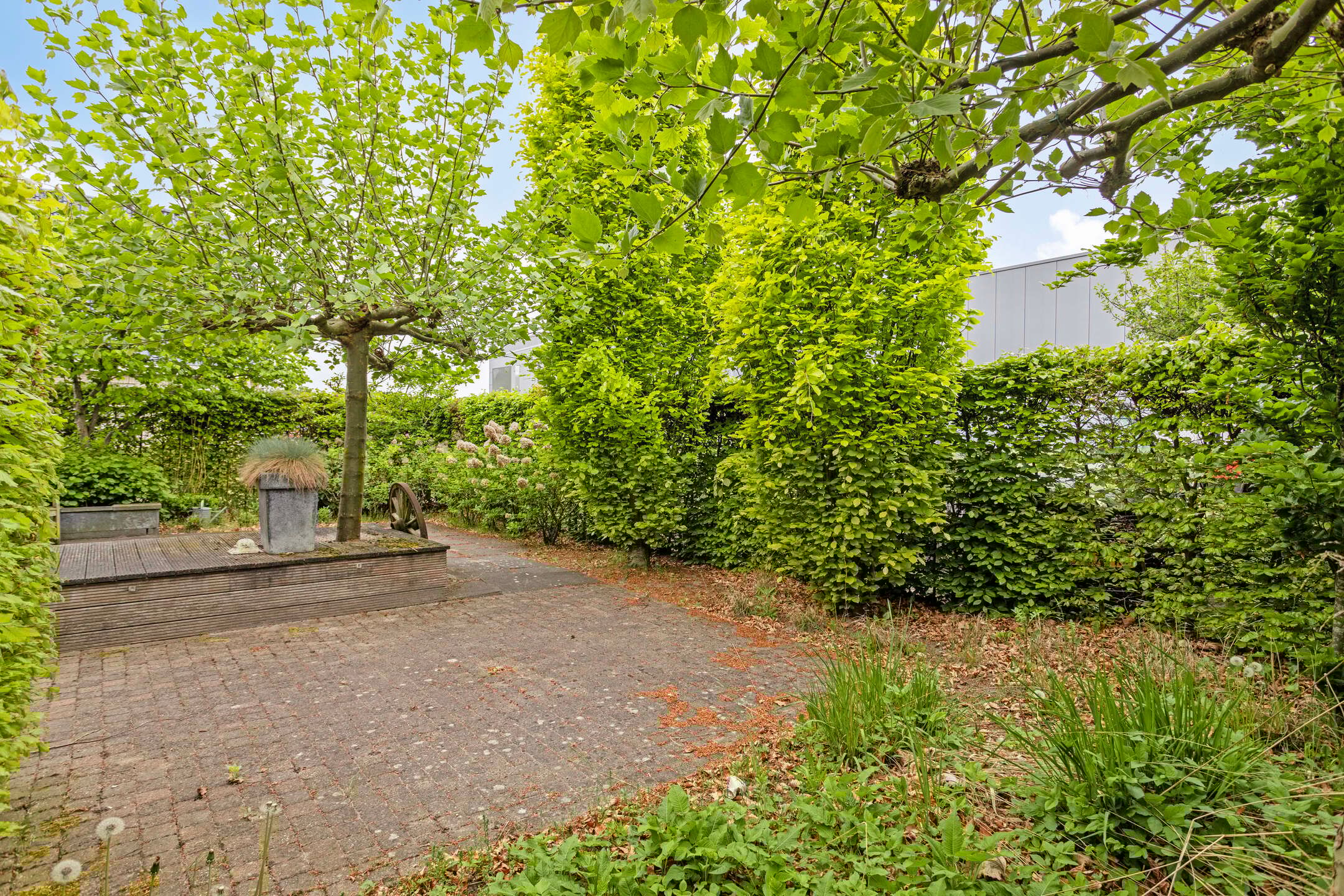 Photo 6 of Uiterwaardenstraat 32-A