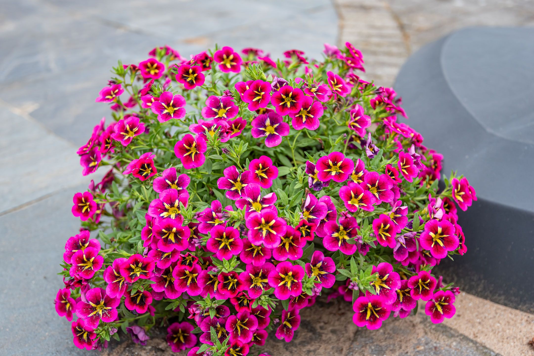 Foto 39 van Kruisbergseweg 128-A