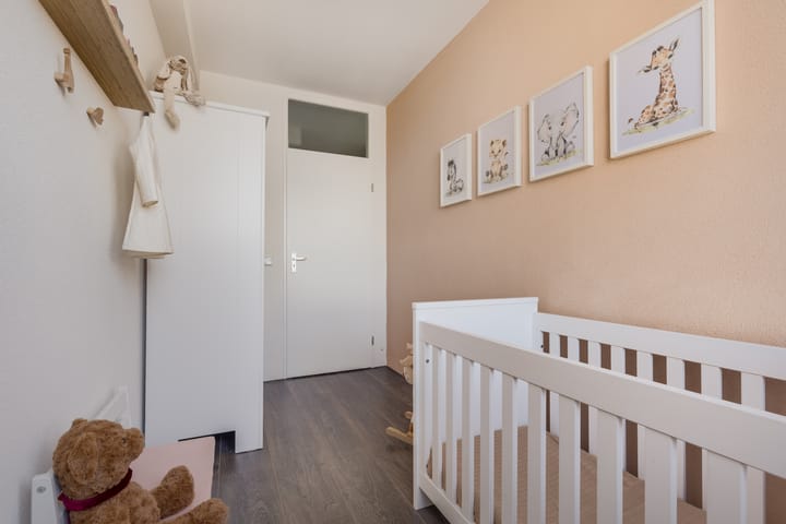 Foto 12 van Madridplantsoen 187