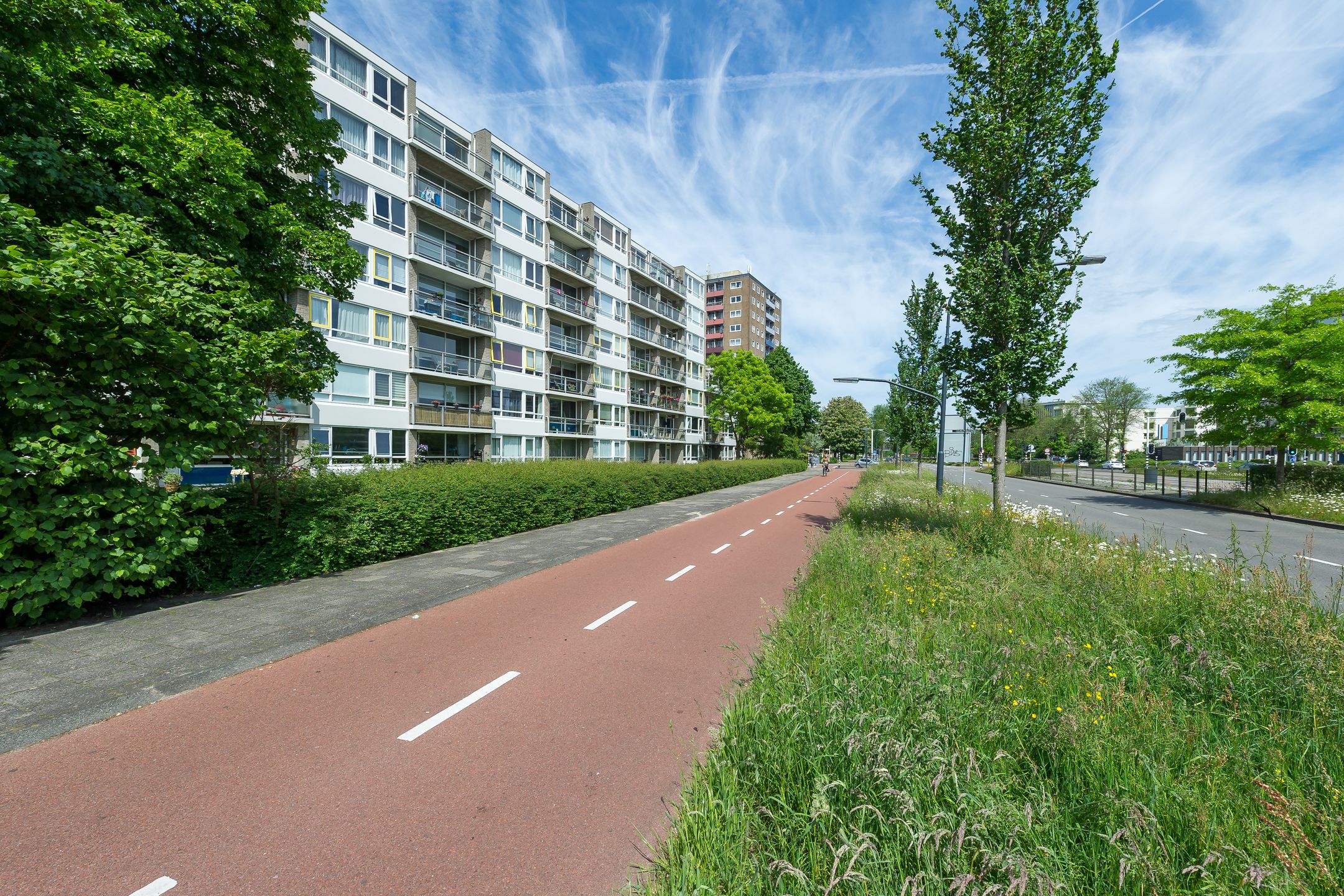 Foto 21 van Madridplantsoen 187