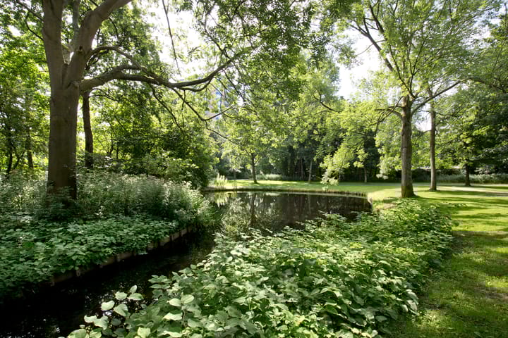 Foto 23 van Madridplantsoen 187