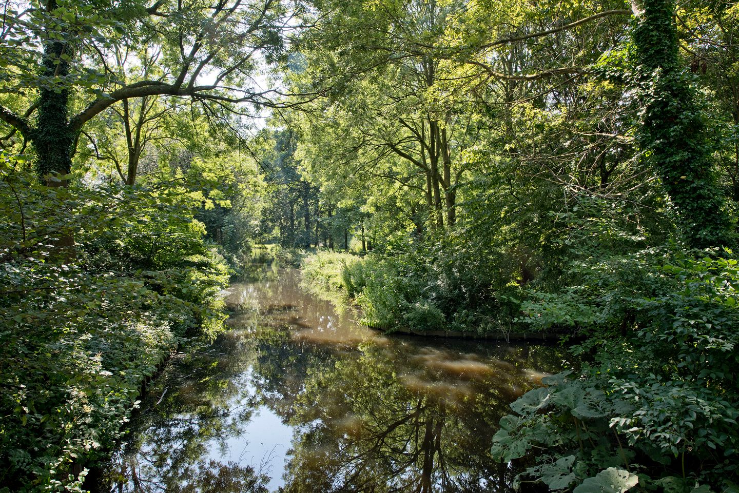 Foto 25 van Madridplantsoen 187