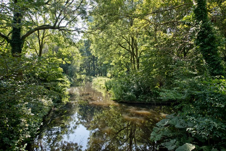 Foto 25 van Madridplantsoen 187