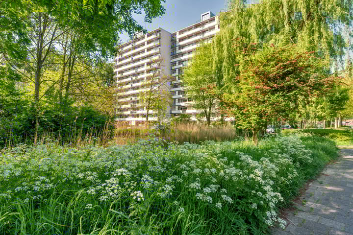 Foto 1 van Akkerwinde 195