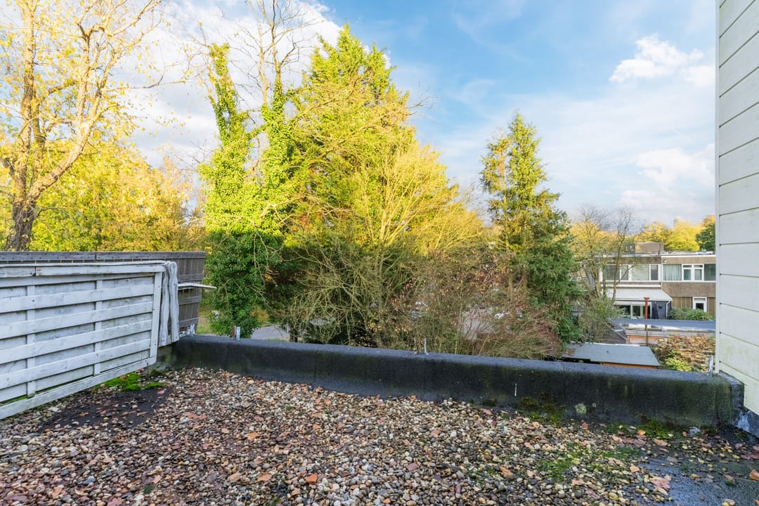 Photo 17 of Adelaartlaan 102